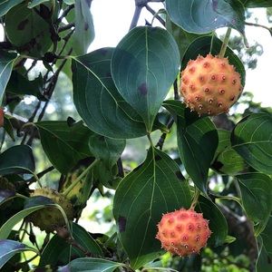 Meet your Posher, Bryan